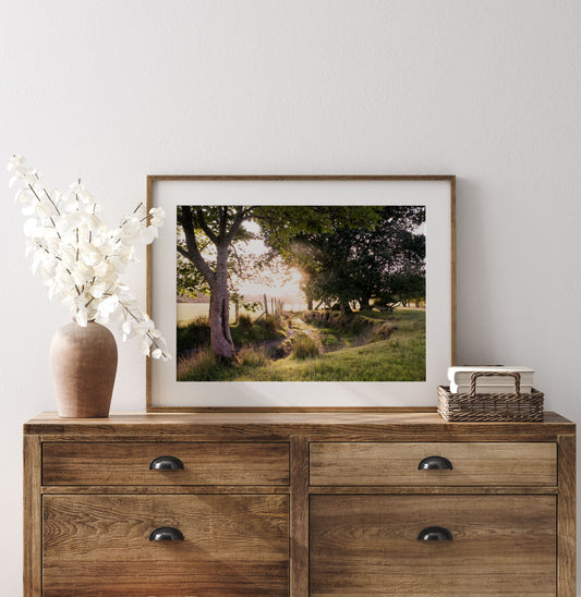 Rural Hearts 2 - Fine Art Print