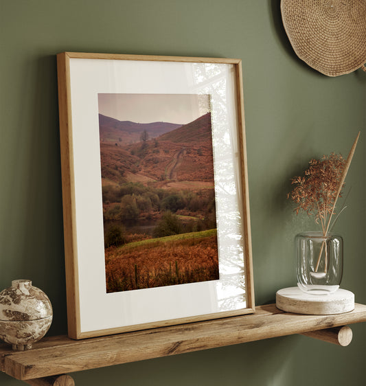 Rural Hearts 6 - Fine Art Print