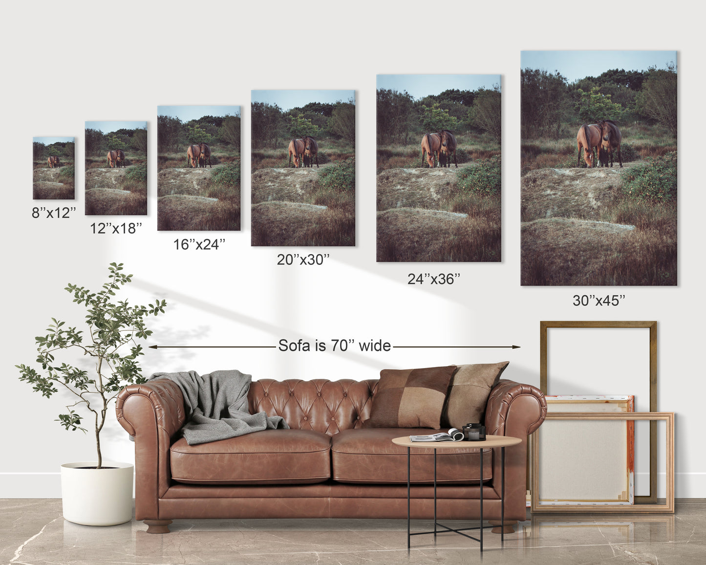 Wild Natives 2 - Fine Art Prints